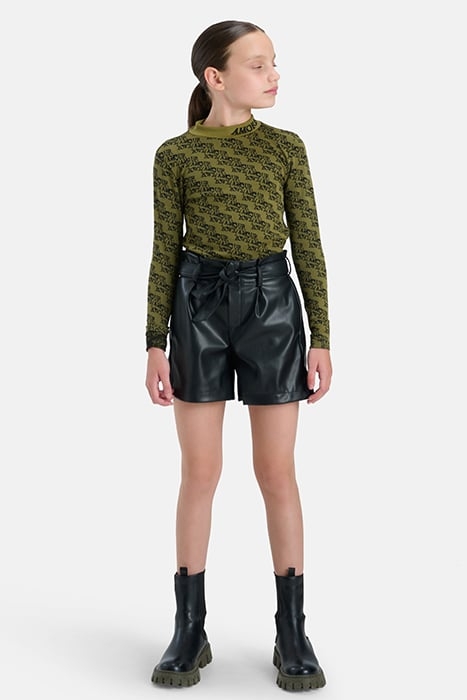 GAA- AMOUR TURTLENECK DARKGREEN 2