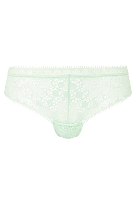 DAY TO NIGHT GREEN LILY 1