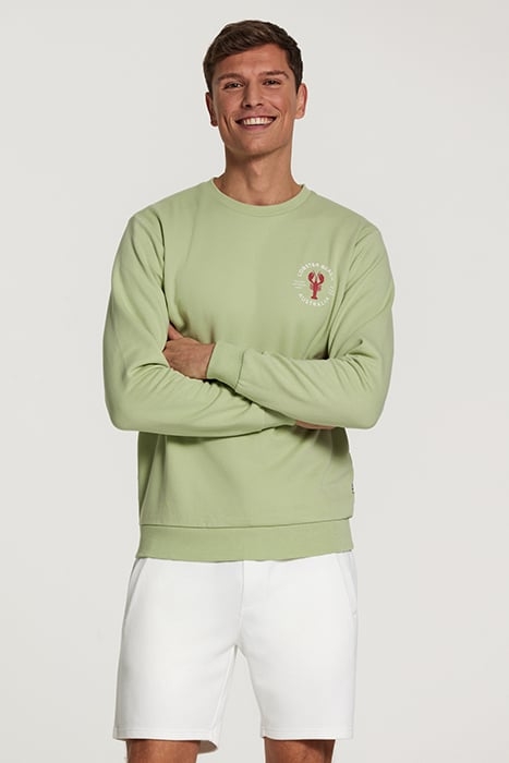 MEN PIQUE SHORTS MAVIS JET STREAM WHITE 4