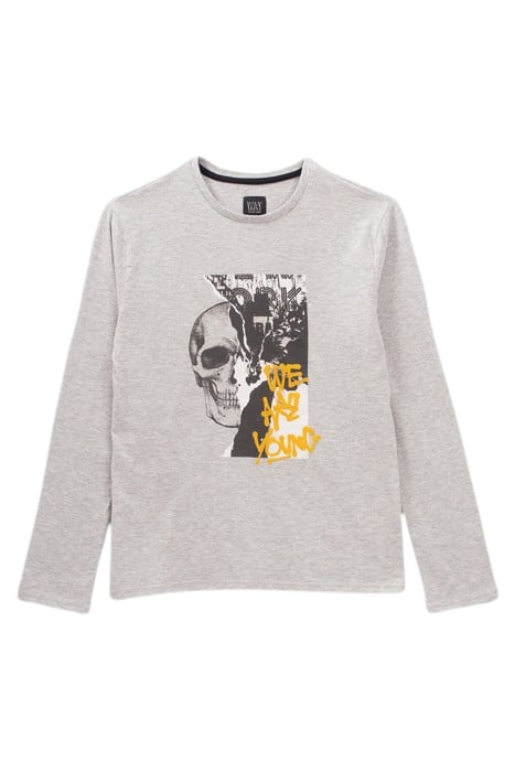 BOYS’ GREY DOUBLE IMAGE AND FLOCKED T-SHIRT GREY 1
