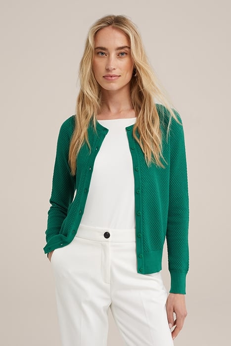 CARDIGAN SEA GREEN 1