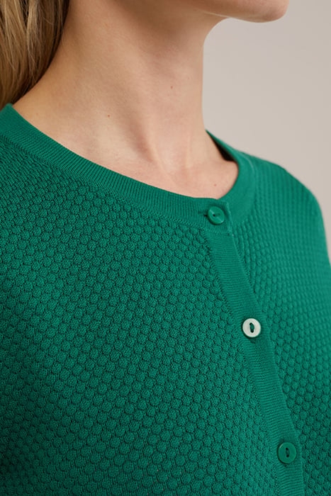 CARDIGAN SEA GREEN 6