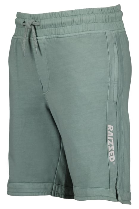 BOYS BENEDICT SHORTS MINT GREY 5