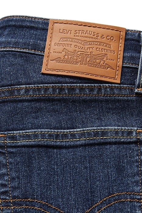 721 HIGH RISE SKINNY COOL I AM IN PARADI 7