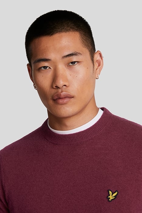 LAMBSWOOL BLEND CREW NECK JUMPER BURGUNDY MARL 5