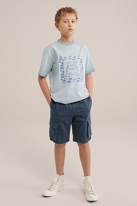 CARGO PANTS GREYISH BLUE 2