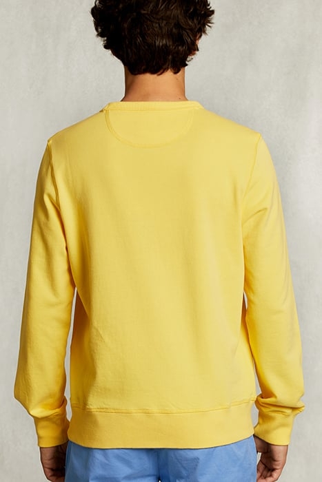 SLIM FIT CREW NECK SWEATER BUTTERFLY YELLOW 2