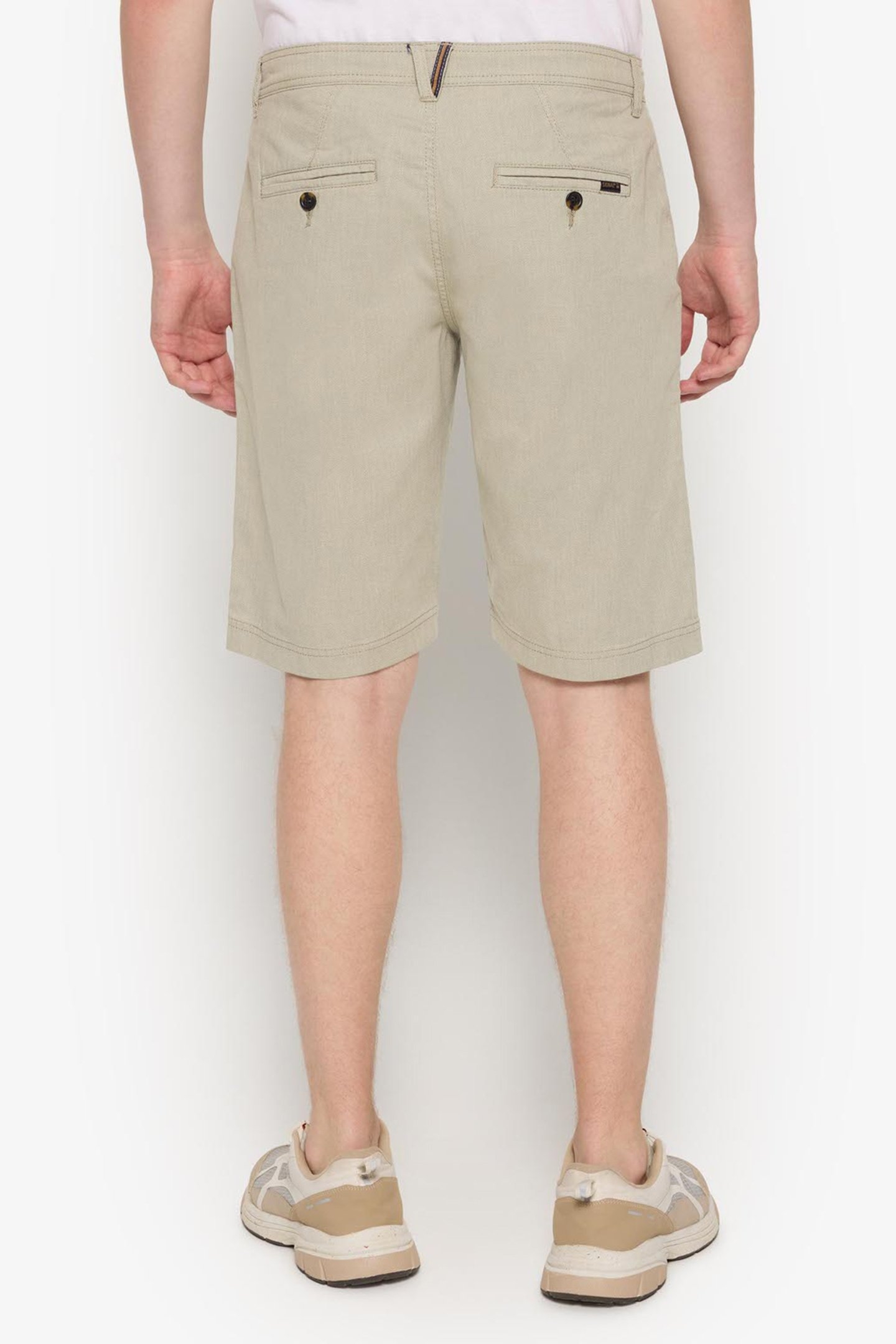 HUGOSI STRUCTURE + OLIVE GARDEN 2