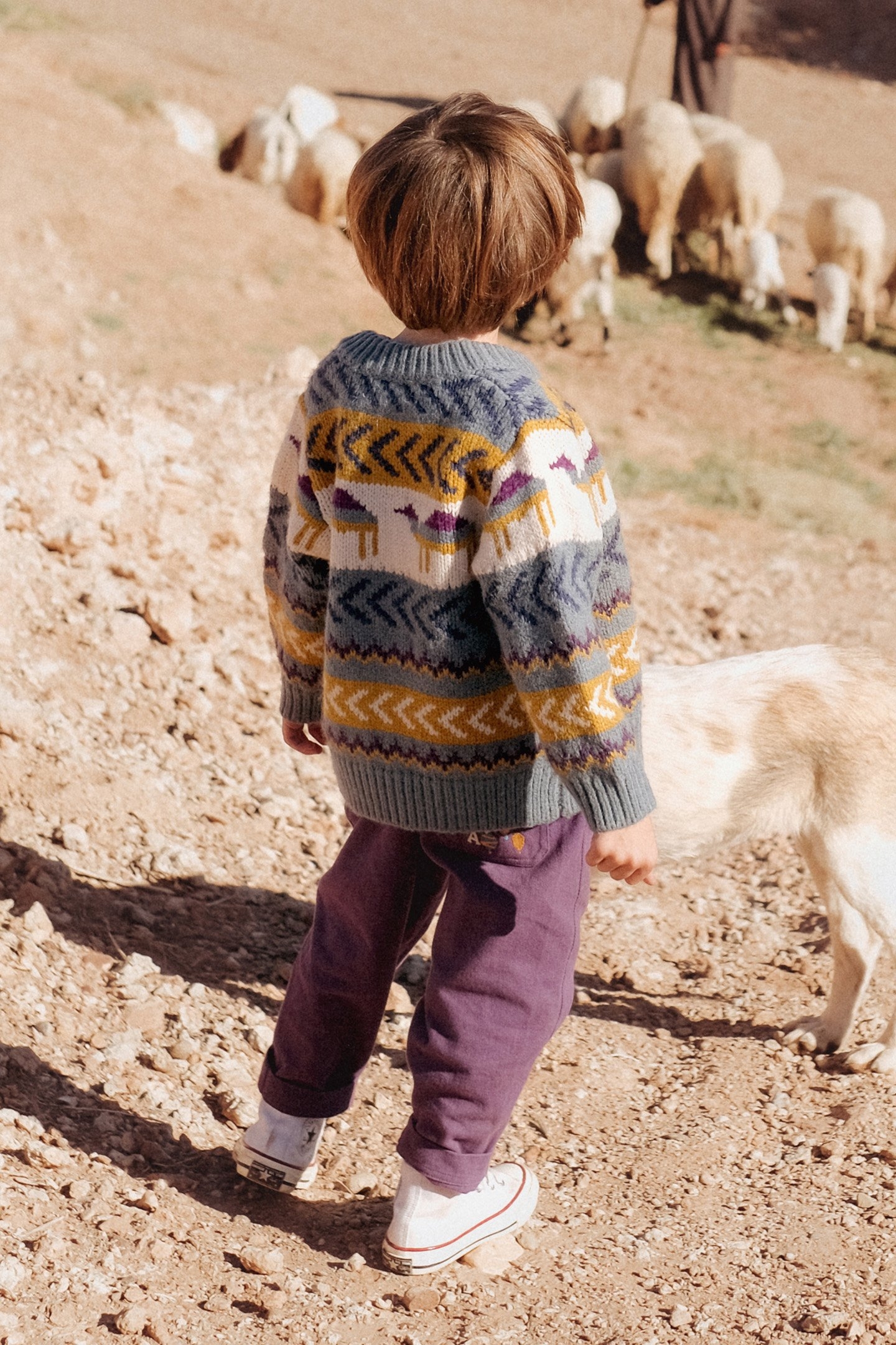 CARDIGAN ARIB STORM 2