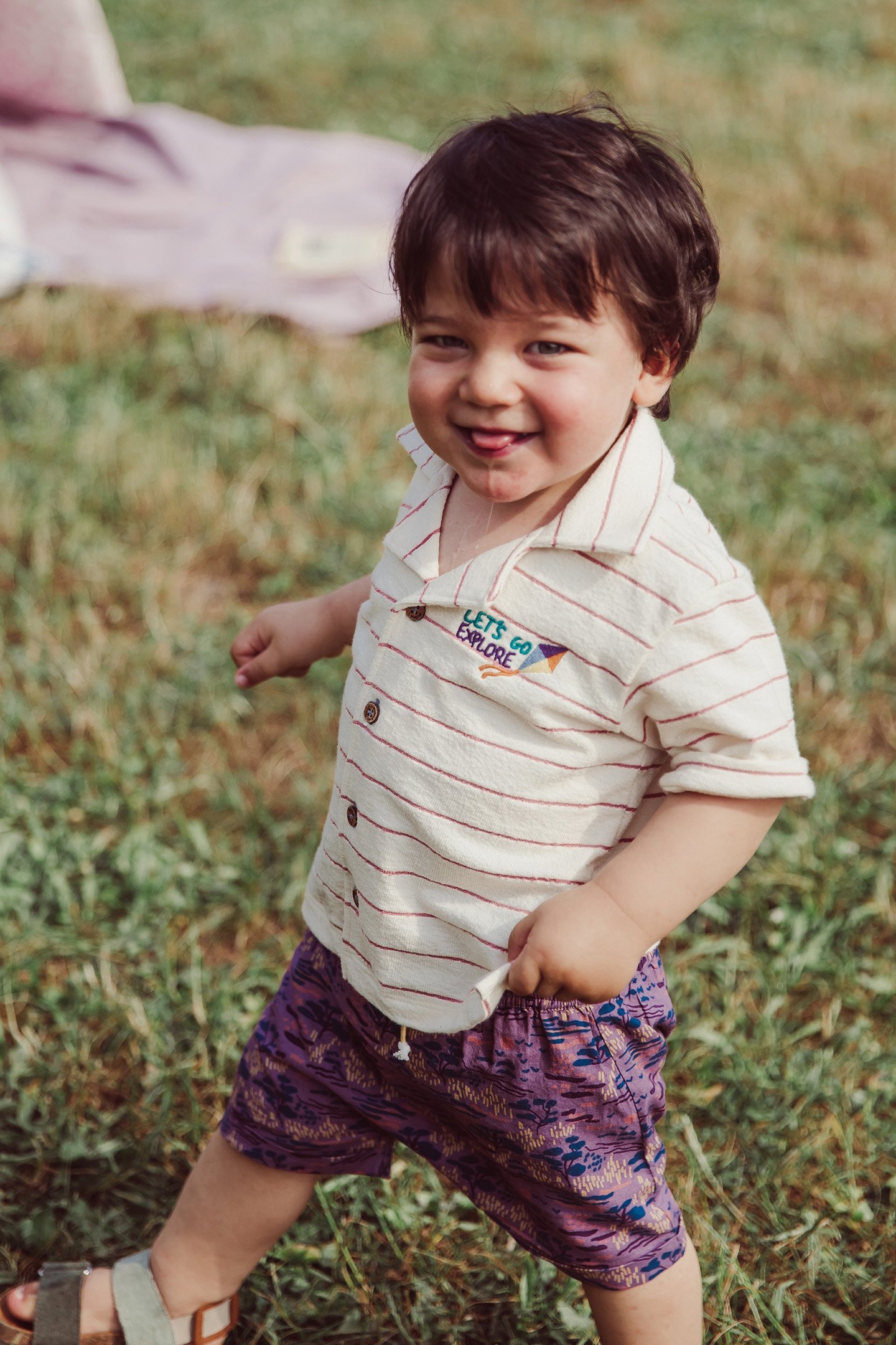 SHORTS ALIKI PURPLE PAST FIELDS 2