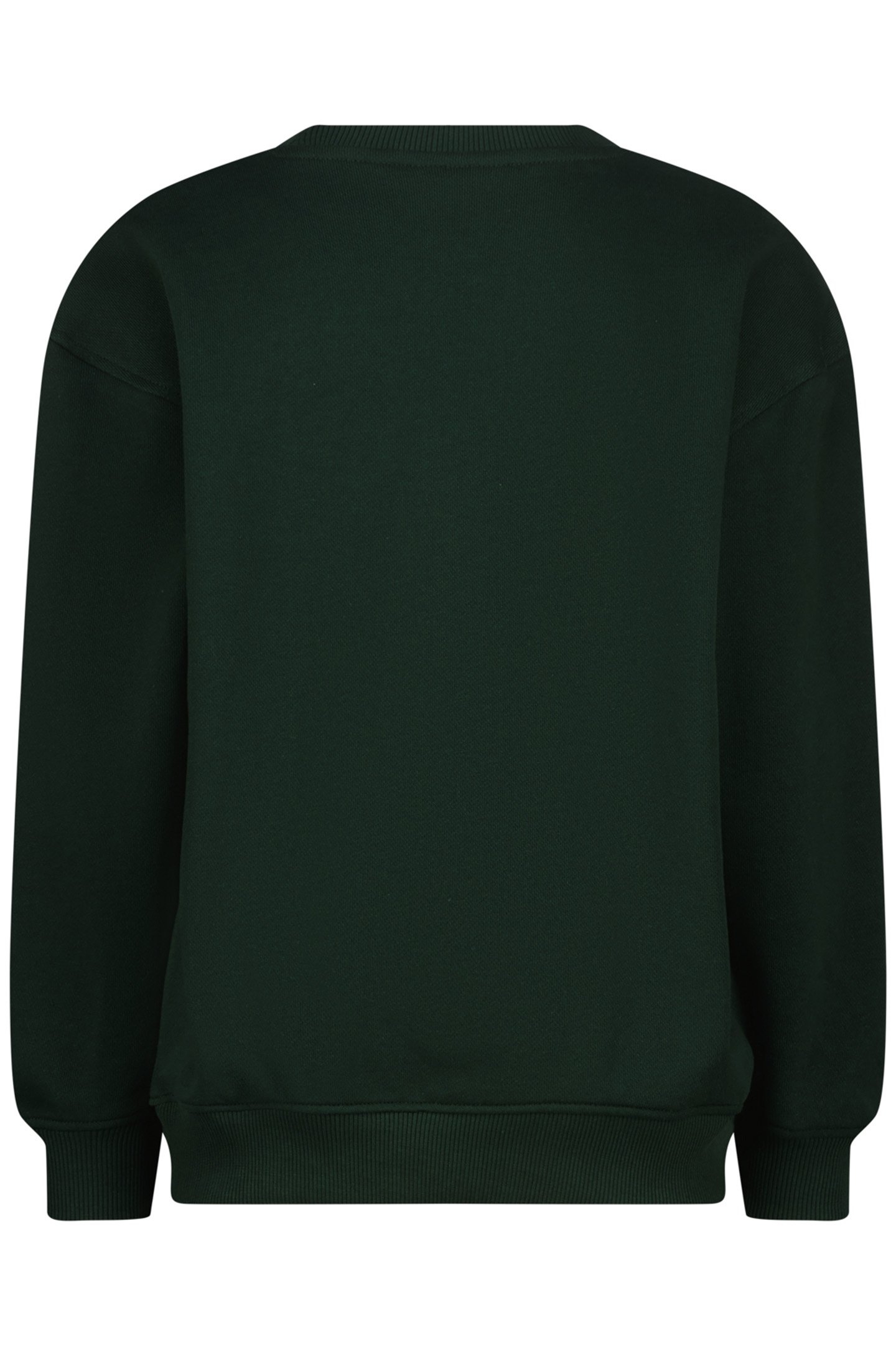 BOYS NOAR SWEATER RACING GREEN 2