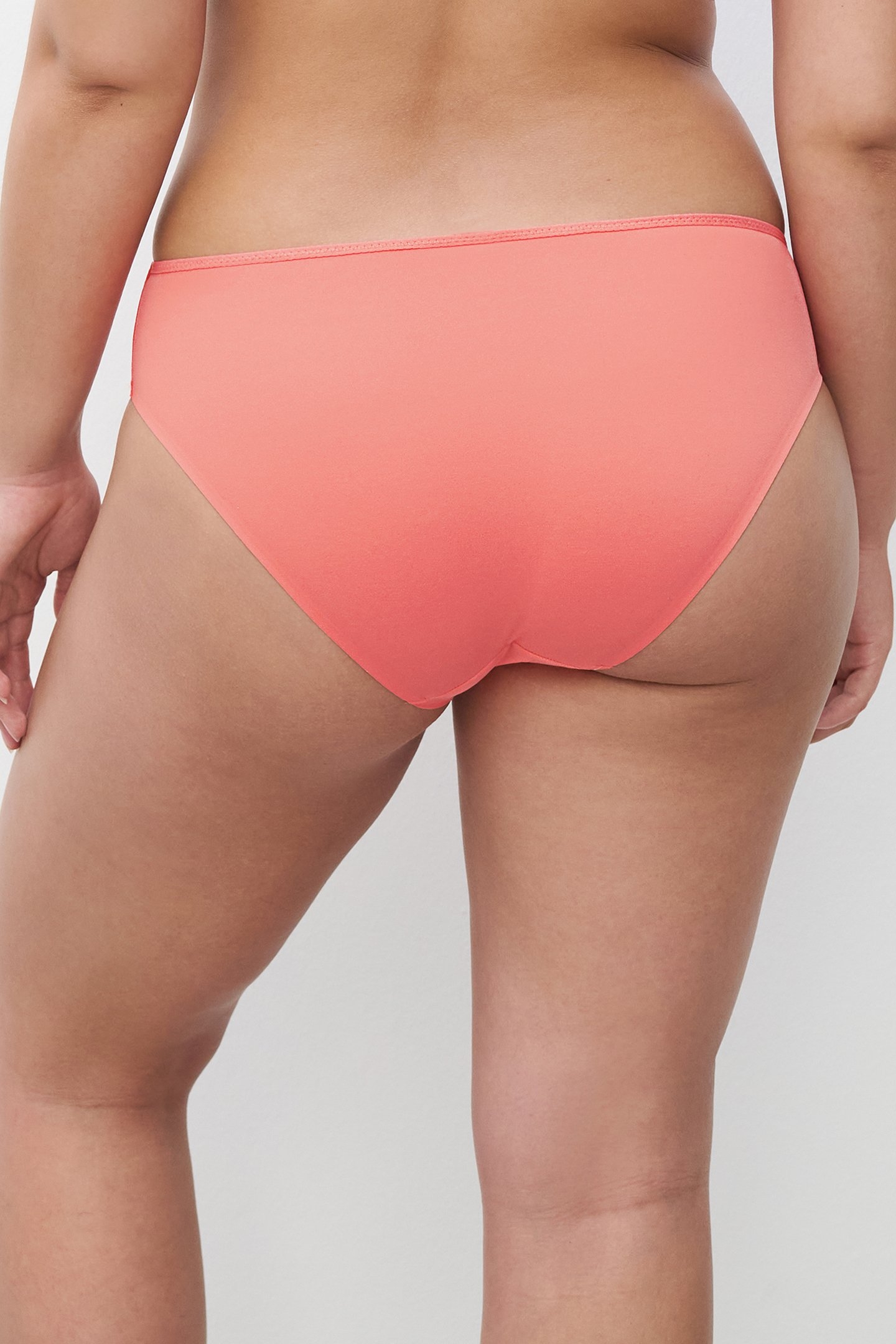 GRAPHIC SUPPORT BRIEF ORANGE 2