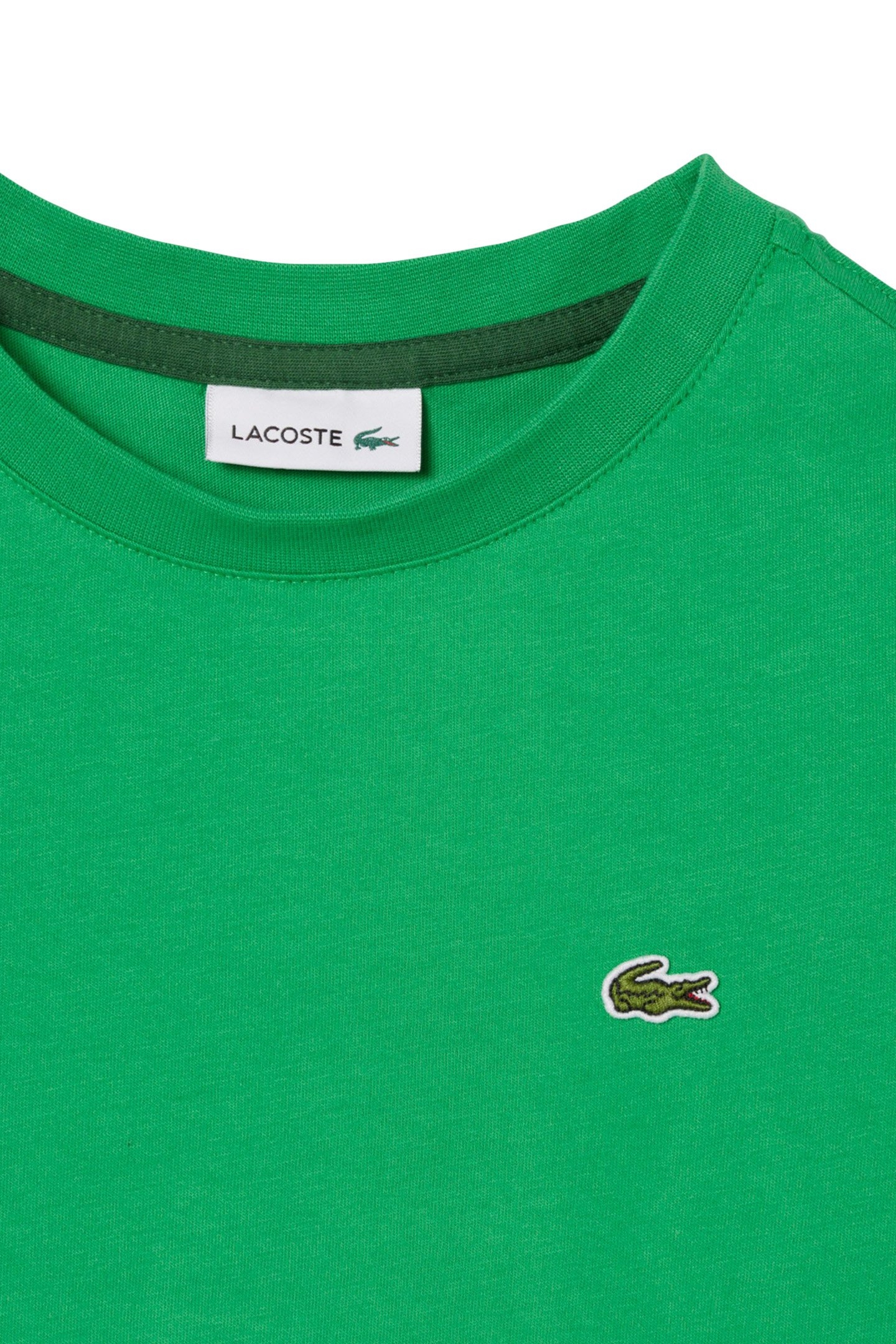 CHILDREN T-SHIRT CALATHEA 7