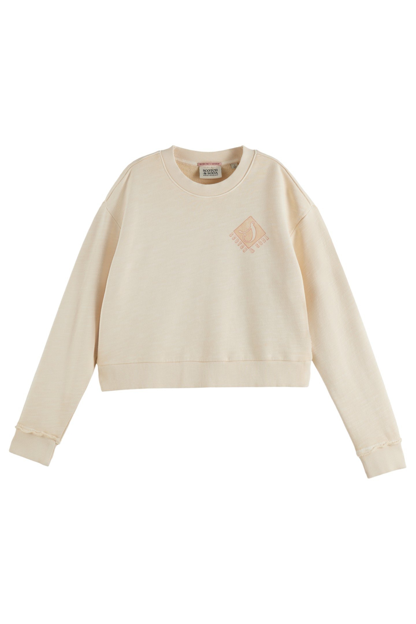 FRONT BACK ARTWORK GARMENT DYE LOOSE FIT SWEATSHIRT SOFT ICE 4